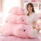 Jeju The Piggy Plushie