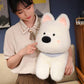 Dougal & Skye West Highland Terrier Dog Plush