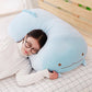 Huge Sleeping Buddies V2 Collection