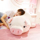 Jeju The Piggy Plushie