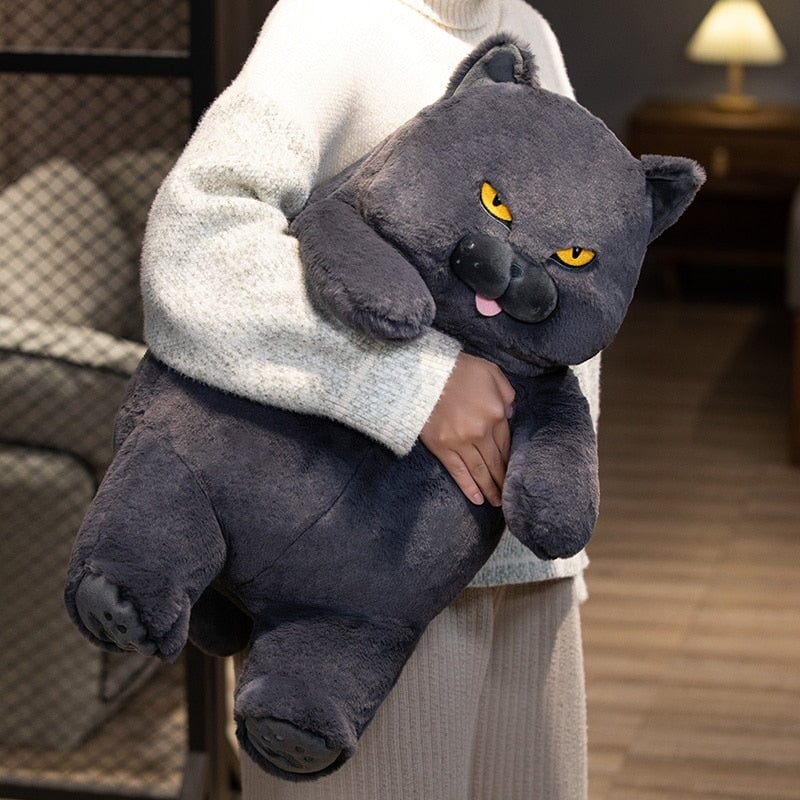 Poe the Grumpy Cat Plushie